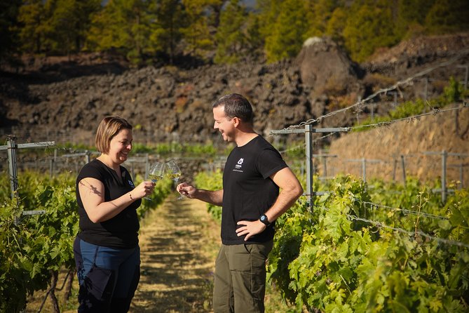Visit to Arafo Mountain Vineyard and Organic Wine Tasting - Key Points