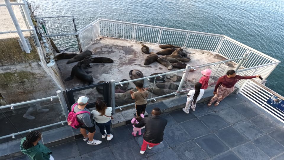 Visit To Robben Island Plus Table Mountain Incl All Tickets - Just The Basics