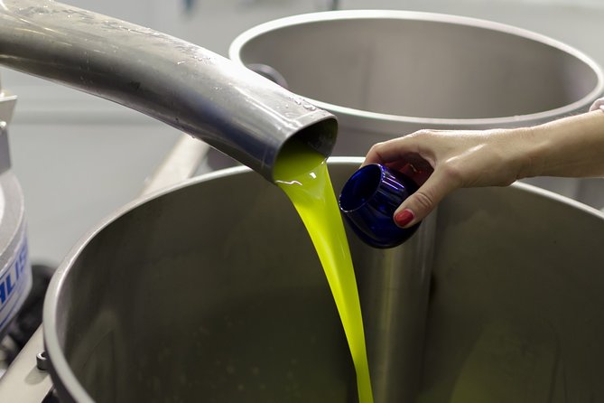 Visit to the Oil Mill With EVOO Experiences in Cuenca - Tour Highlights