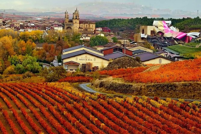 Vitoria Guided Tour With Rioja Winery Visit From Bilbao - Key Points