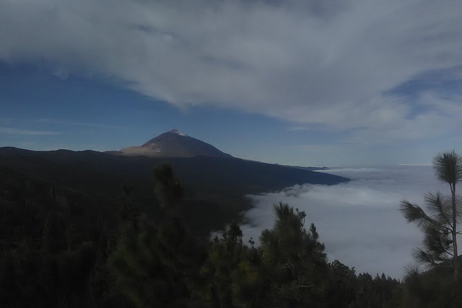 Volcano Teide National Park And North Of The Island VIP TOUR - Key Points