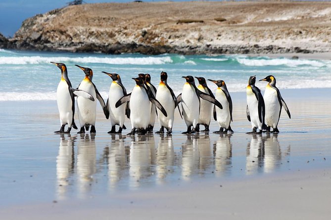 Volunteer Point in Falkland Islands - Key Points