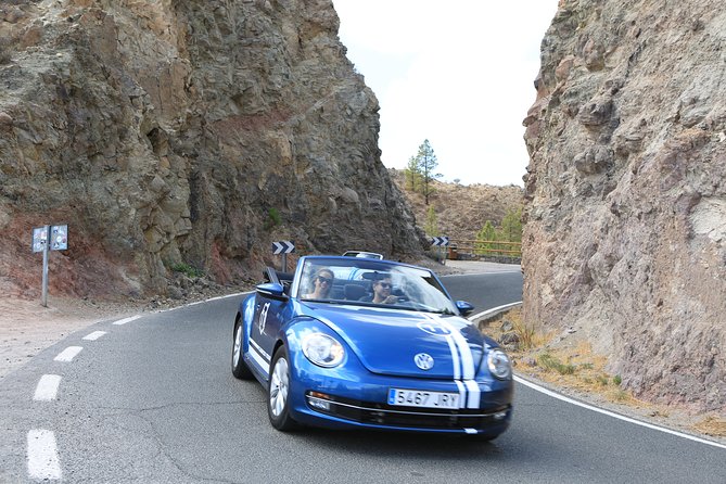 Vw Beetle Convertible Island Tour Discover the Island on a Different Way - Just The Basics