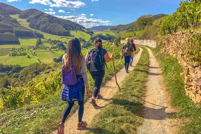 Wachau World Heritage Hike - Key Points