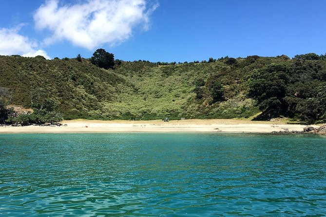 Waiheke Island Bush & Beach Walk - Key Points