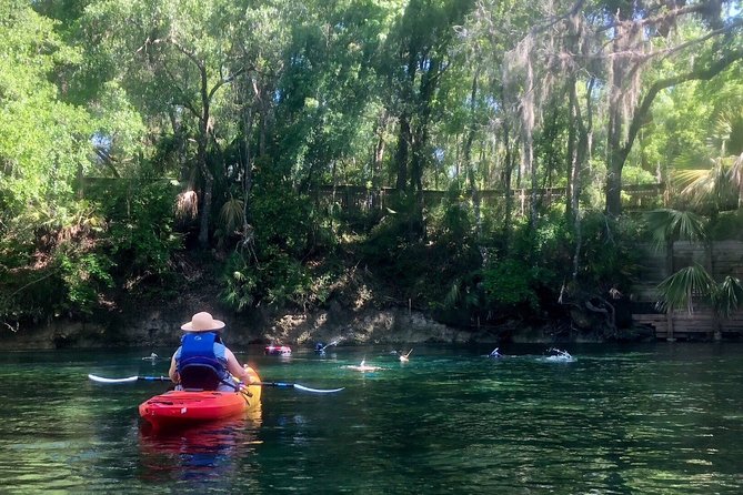 Wekiva River Guided Kayak Tour - Just The Basics