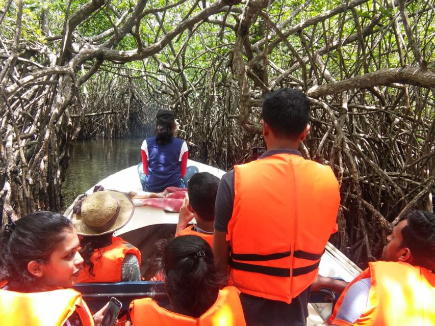 West Coast Beach, River Mangroves Lagoon, Wildlife Boat Tour - Key Points