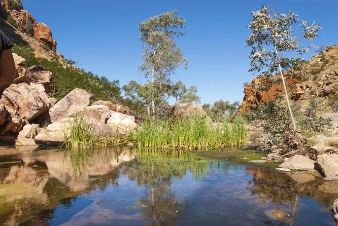 West MacDonnell Ranges Small-Group Full-Day Guided Tour - Key Points