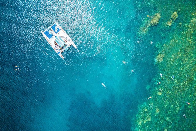 West Maui Half Day Snorkel From Ka'Anapali Beach - Just The Basics