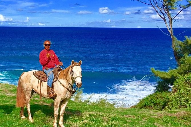 West Maui Mountain Waterfall and Ocean Tour via Horseback - Just The Basics