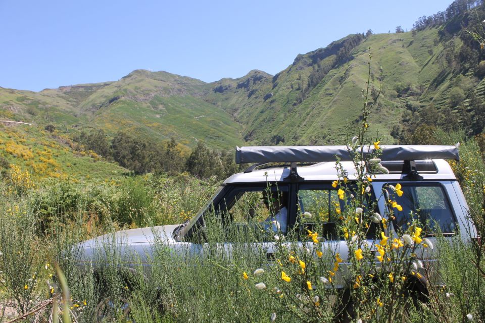 West Tour Full Day 4x4 Jipe Tour Natural Swimming Pools - Key Points