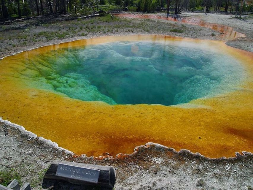 West Yellowstone: Yellowstone Day Tour Including Entry Fee - Key Points