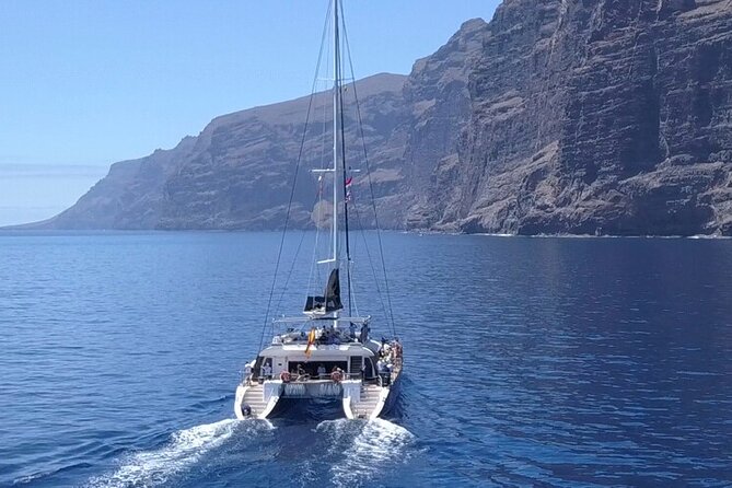 Whale Watching Catamaran to Los Gigantes & Masca (Including Drinks & Warm Lunch) - Key Points