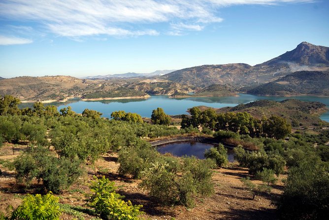 White Villages and Ronda Day Tour From Seville - Just The Basics