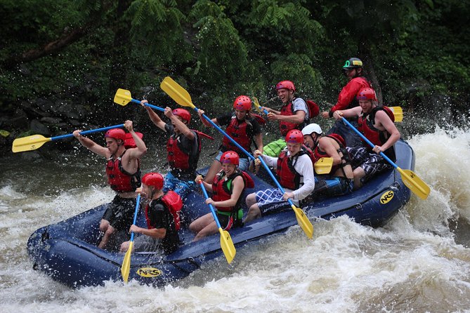 White Water Rafting Experience on the Upper Pigeon River - Just The Basics