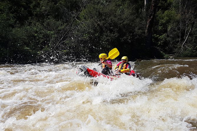 Whitewater Sports Rafting on the Yarra River - Key Points