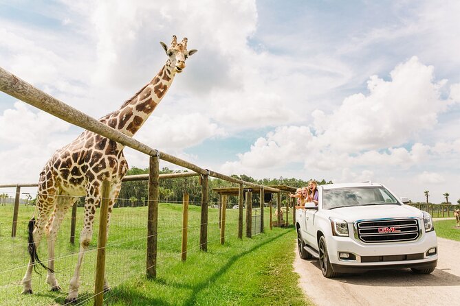 Wild Florida Drive-Thru Safari and Gator Park Admission - Just The Basics