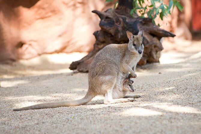 WILD LIFE Sydney Entrance Ticket - Key Points