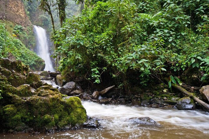 Wildlife Refuge La Paz Waterfall Gardens Day Trip From San Jose - Key Points