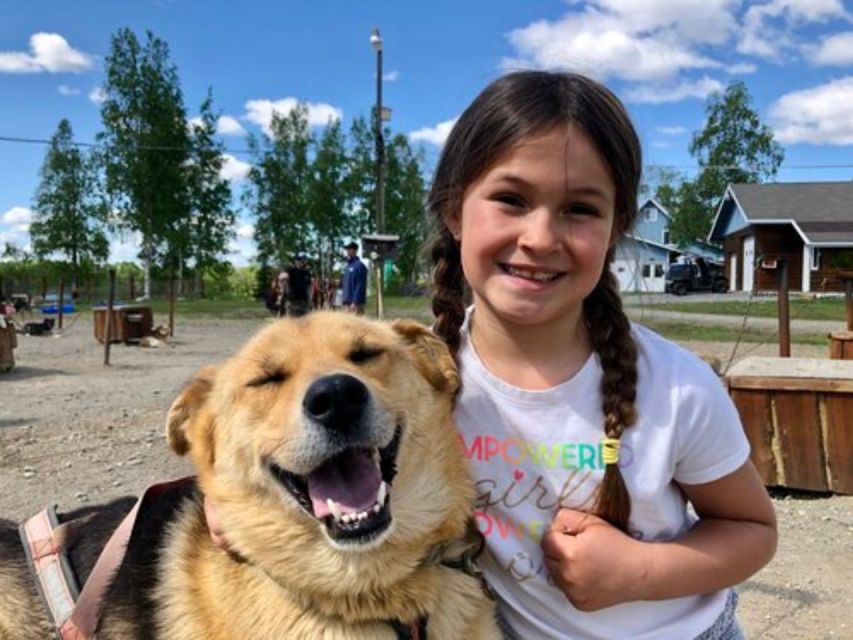 Willow: Summer Dog Sledding Ride in Alaska - Key Points