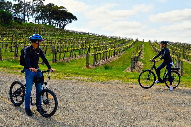 Willunga, Wine and Winding...Down a Country Road by E-Bike (Mar ) - Key Points