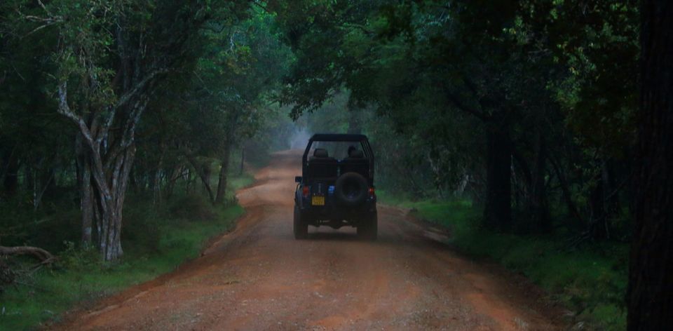 Wilpattu National Park With Safari Jeep & Entrance Ticket - Key Points