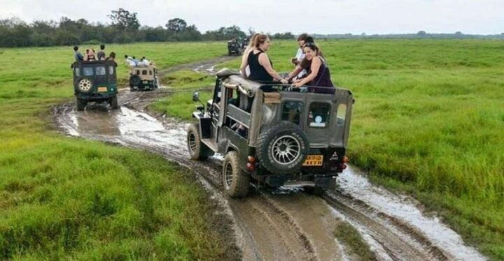 Wilpattu National Park With Safari Jeep & Entrance Ticket - Park Overview