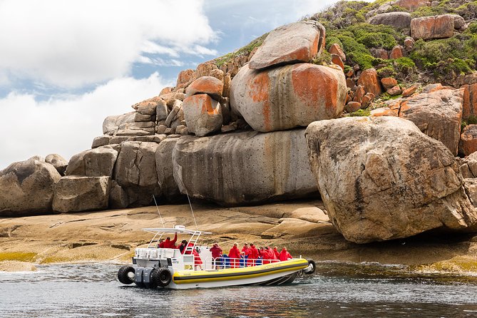 Wilsons Promontory Wilderness Cruise From Tidal River - Just The Basics