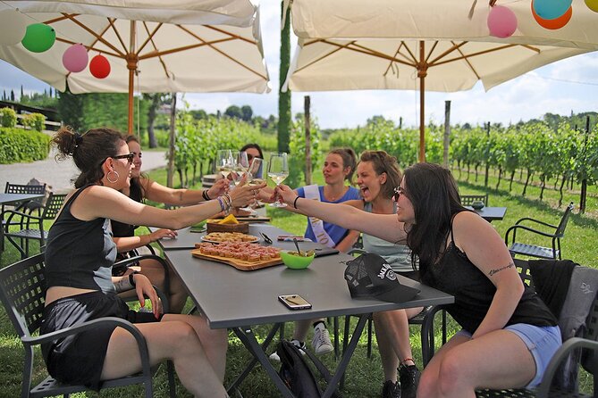 Wine and Food Tasting in the Vineyards in Lazise - Key Points