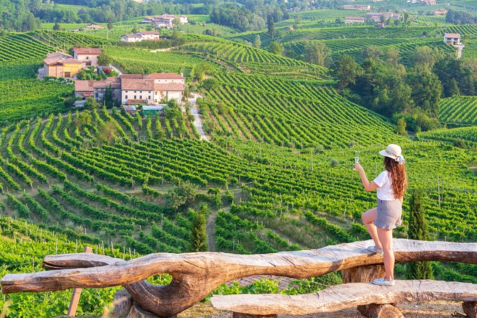 Wine and Food Tour in the Prosecco Hills From Venice - Key Points