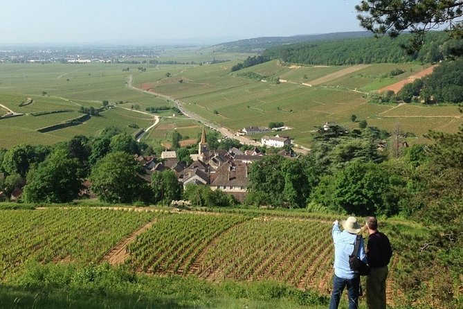 Wine Tour - Aloxe-Corton, Its Great Wines - Key Points