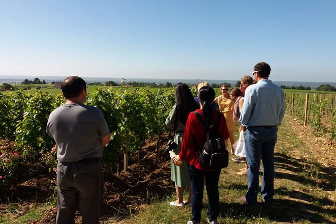 Wine Tour in Medoc With Coffee Break - Key Points