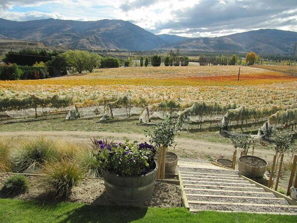 Wine Tour With Wine Tasting From Wanaka - Key Points