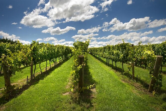 Wine Tours Sydney - Southern Highlands Day Escape, Full Day Wine Tasting Tour - Key Points