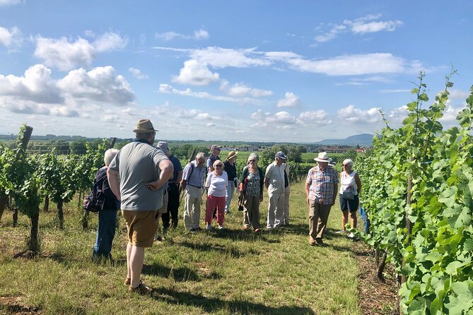 Winegrower Walk - Key Points