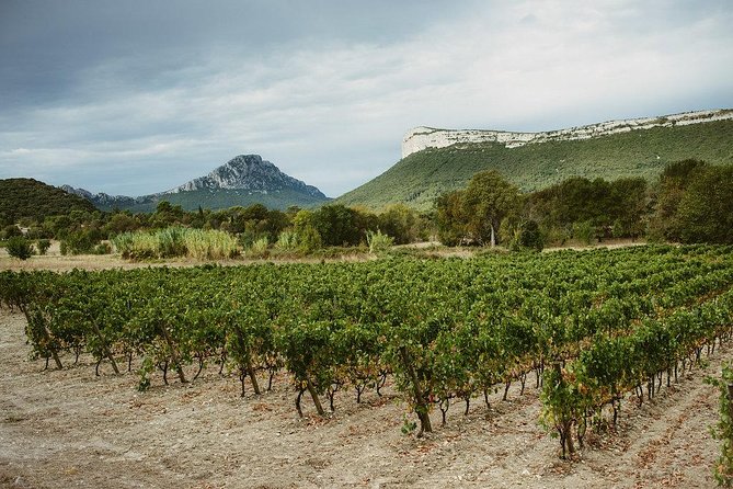 Winetasting, Food and Hike to the Top of "Pic Saint Loup" - Key Points