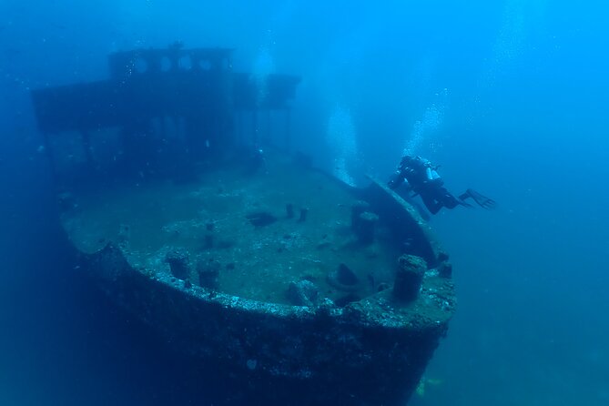 Wreck and Bridge Span Dive Charter for Certified Divers - Just The Basics