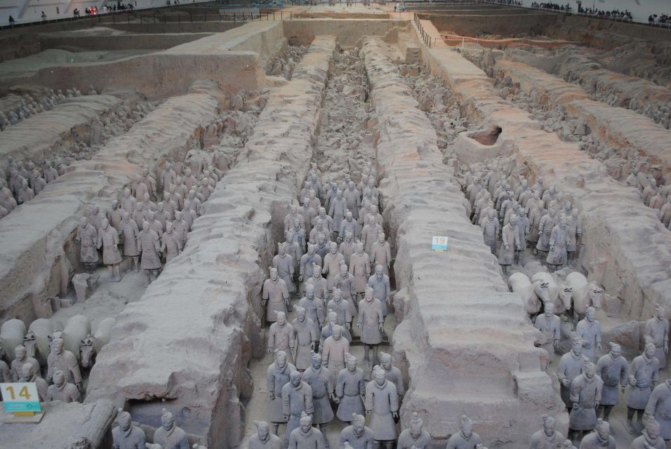 Xi'an Terracotta Warriors & Horses Museum Private Tour - Just The Basics