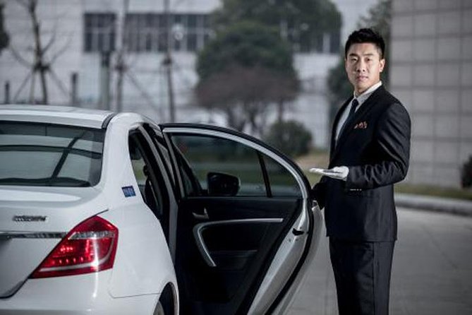 Xian Xianyang Airport to Hotels:Private Transfer With Meet & Great Service - Key Points