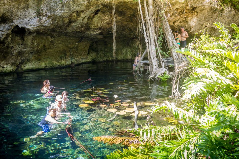 Xtun Cenote Underground Caverns Tour & Open Cenote Swim - Key Points