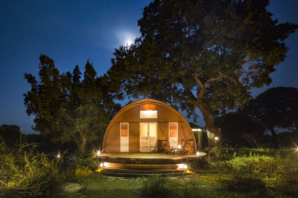 yala national park 3 day private luxury glamping Yala National Park: 3-Day Private Luxury Glamping Experience
