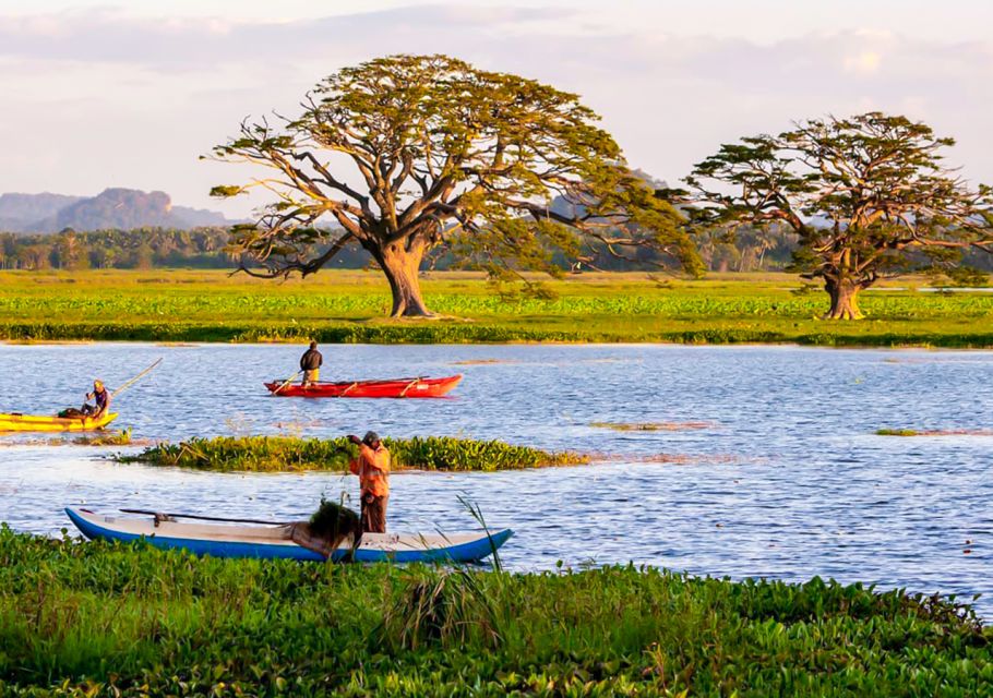 Yala: Sunset Tour by Boat & Beach BBQ Dinner - Key Points