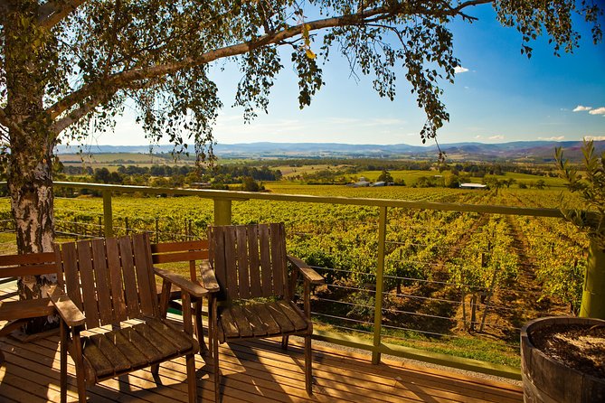 Yarra Valley Small-Group Wine Tour With 2 Course Lunch - Key Points