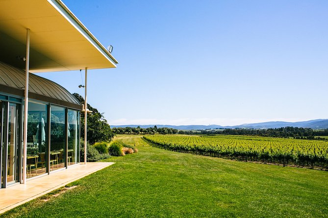 Yarra Valley Winery Tour From Melbourne - Just The Basics