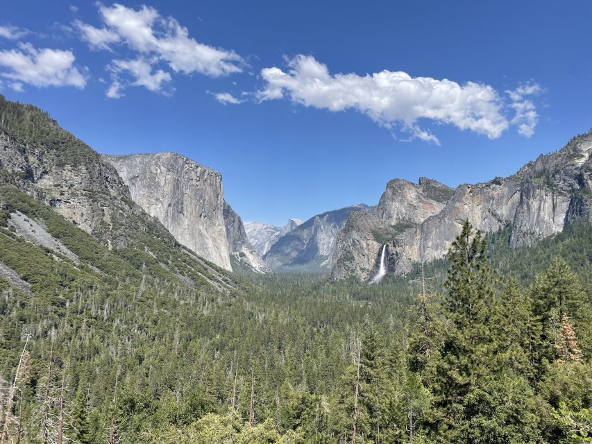 Yosemite, Giant Sequoias, Private Tour From San Francisco - Key Points
