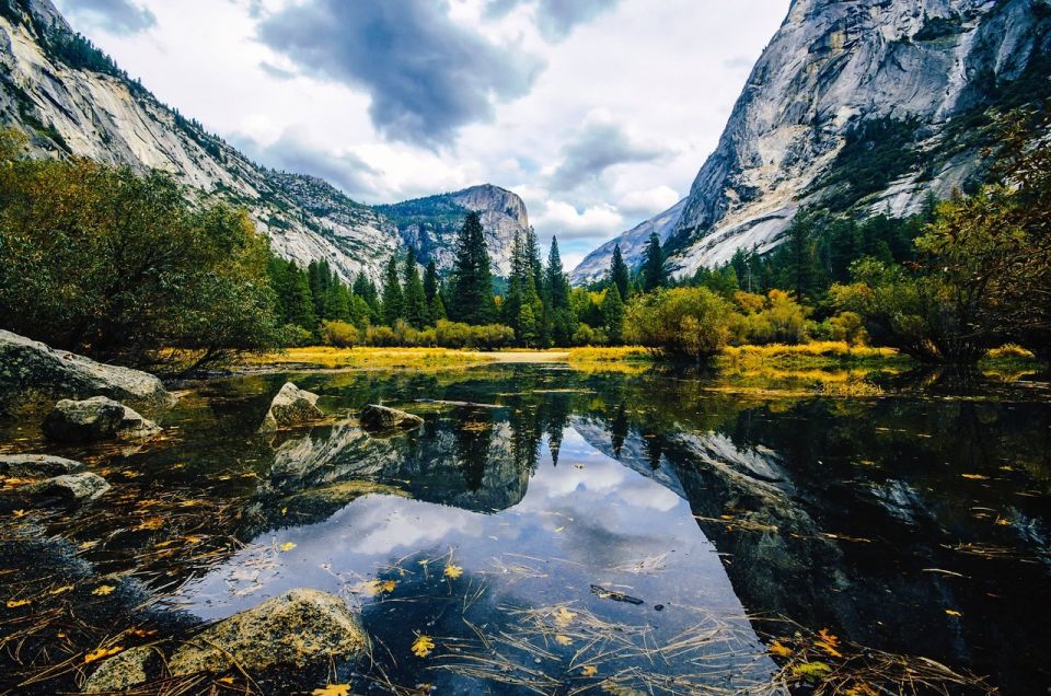 Yosemite'S Natural Wonders: Private Day Tour From San Jose - Key Points