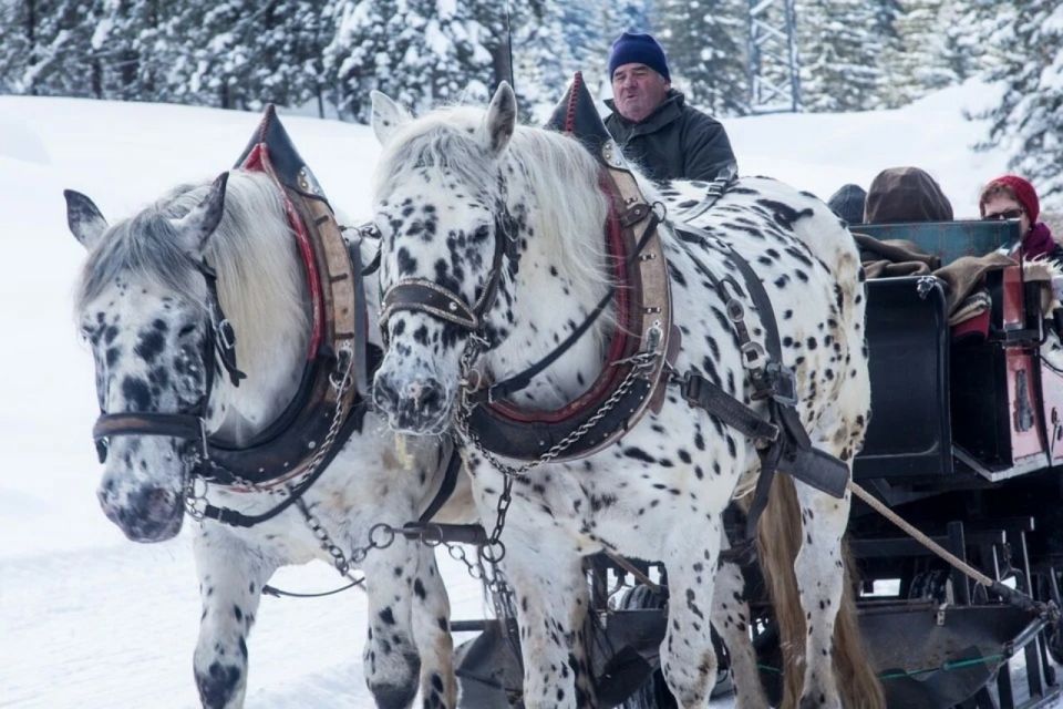 Zakopane and Sleigh Ride With Transfers and Lunch Option - Key Points