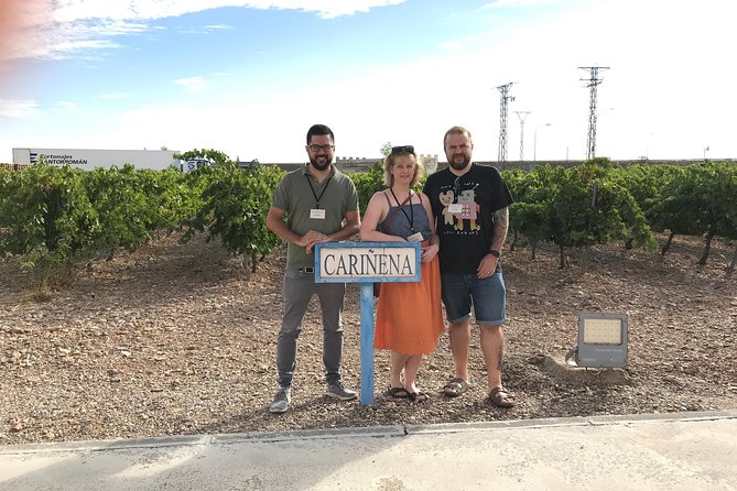 Zaragoza to Cariñena Wineries Full-Day Private Tour - Tour Itinerary