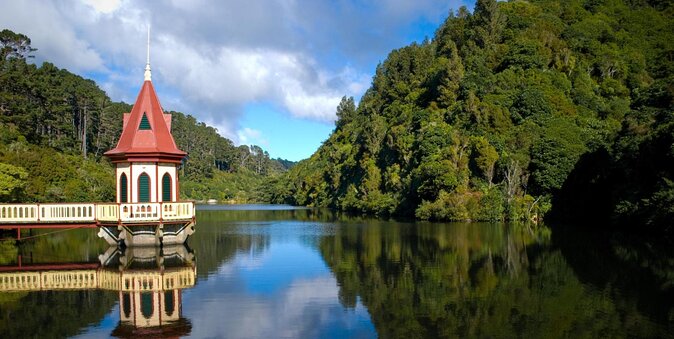 Zealandia - Twilight Guided Eco Wildlife Tour - Key Points