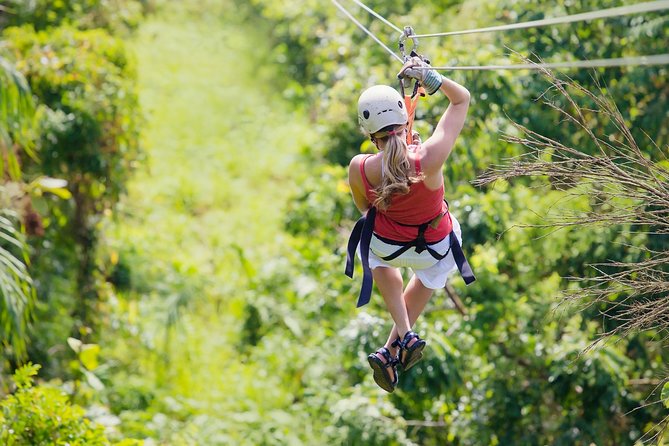 Zipline Canopy Tour & Tortuguero Canal Boat Tour. Shore Excursion From Limon - Key Points